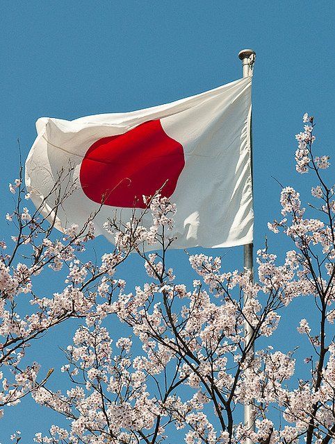 Mengungkap Gaya Hidup Pemain Pasaran Togel Jepang : Antara Strategi, Kebiasaan, dan Tren Unik